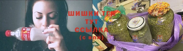 Альфа ПВП Бородино