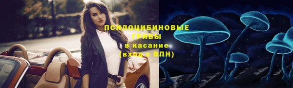 тгк Верея