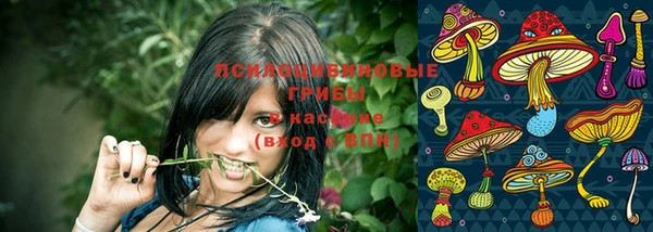 мет Верхний Тагил