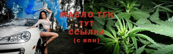 тгк Верея