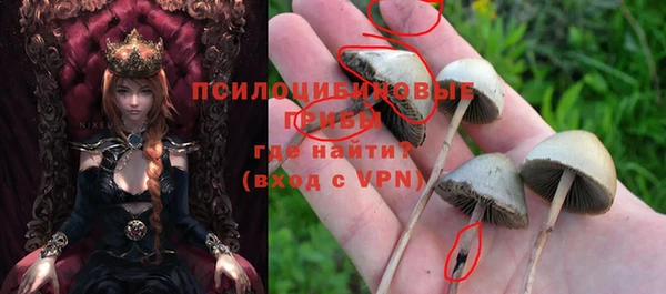 мет Верхний Тагил