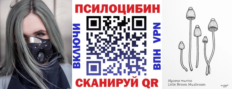 купить наркотики цена  Омск  Псилоцибиновые грибы Psilocybine cubensis 